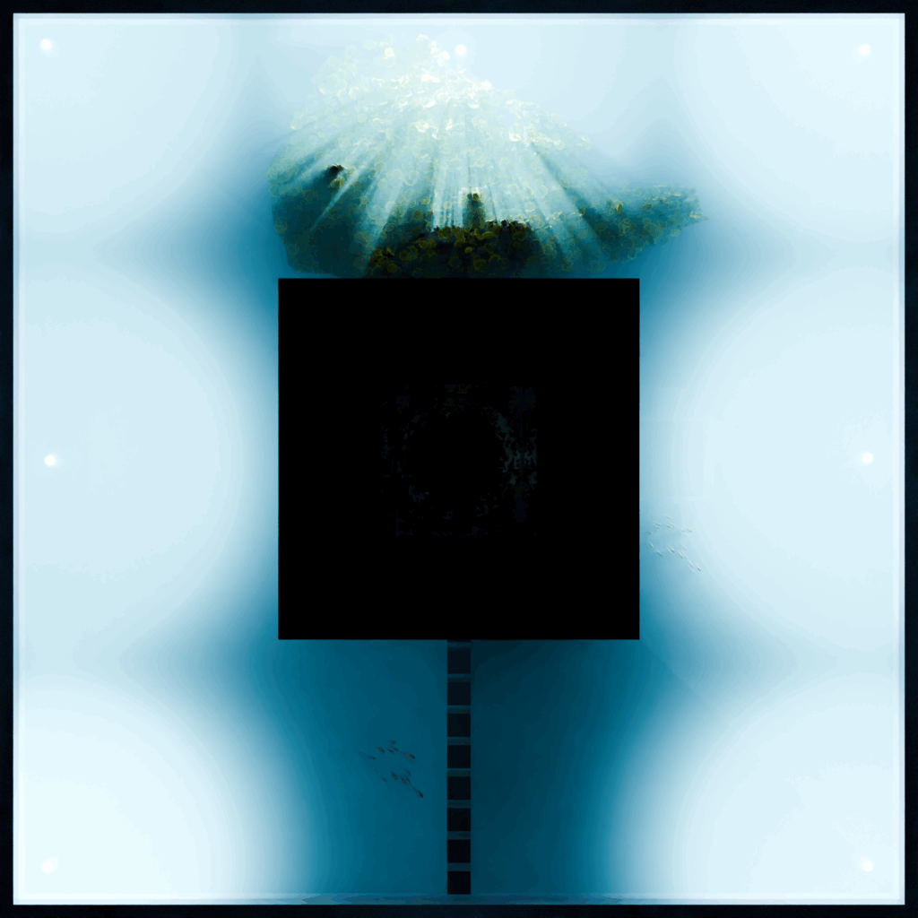 house top down night